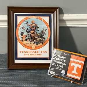 🏈 University of Tennessee Fan Lot- Small Picture and Flag.